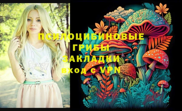 твердый Армянск