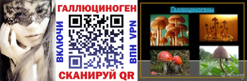 Галлюциногенные грибы Psilocybine cubensis Купить Сухой Лог
